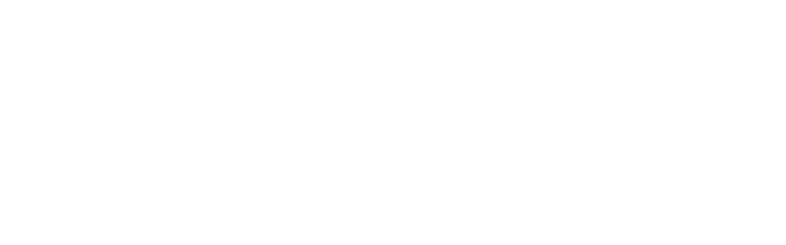 nd-vario-final